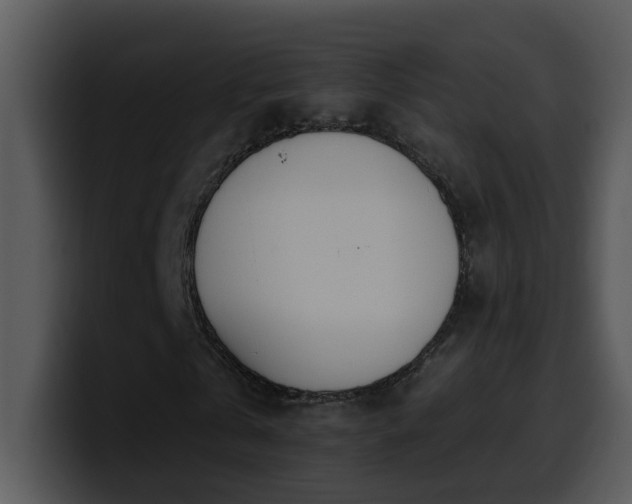 X0000100410769200806061341