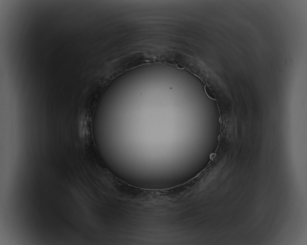 X0000100410770200806061341