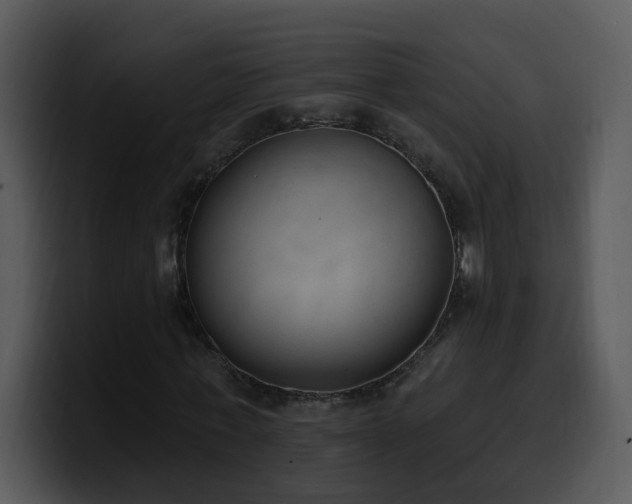 X0000100410771200806061341