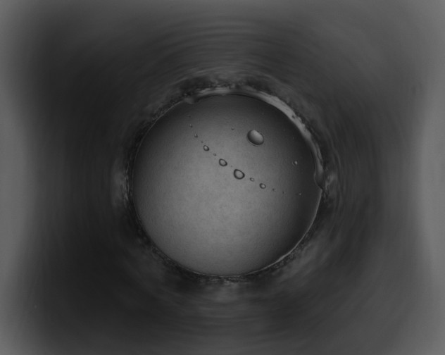 X0000100410772200806061341