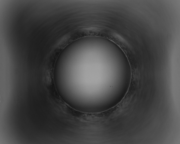 X0000100410774200806061341