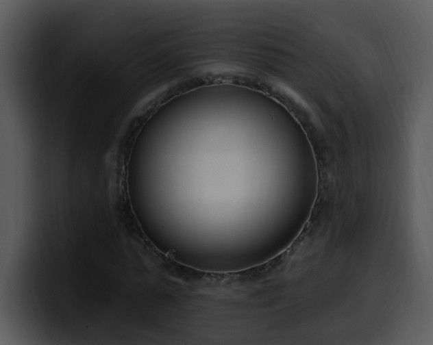 X0000100410775200806061341