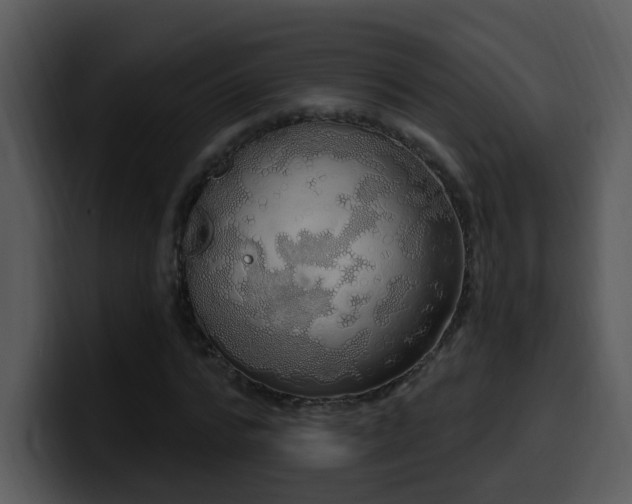 X0000100410776200806061341