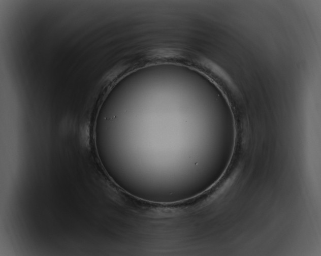 X0000100410777200806061341