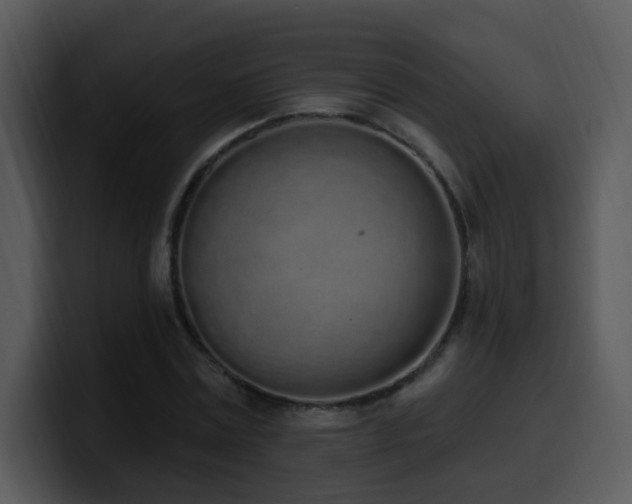 X0000100410779200806061341