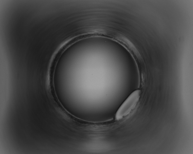 X0000100410780200806061341