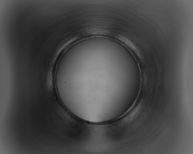 X0000100410782200806061341