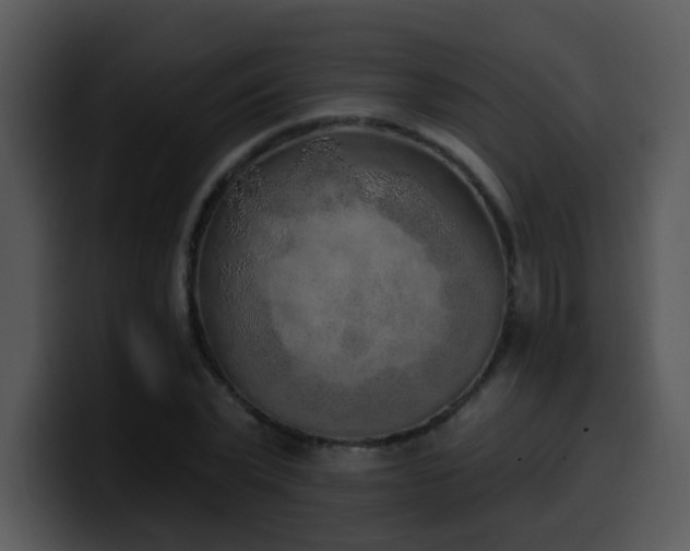 X0000100410783200806061341