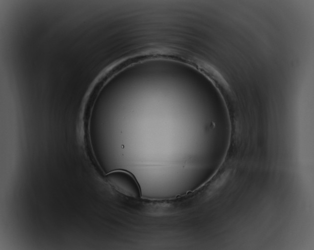 X0000100410784200806061341