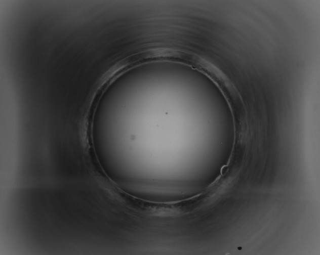 X0000100410786200806061341