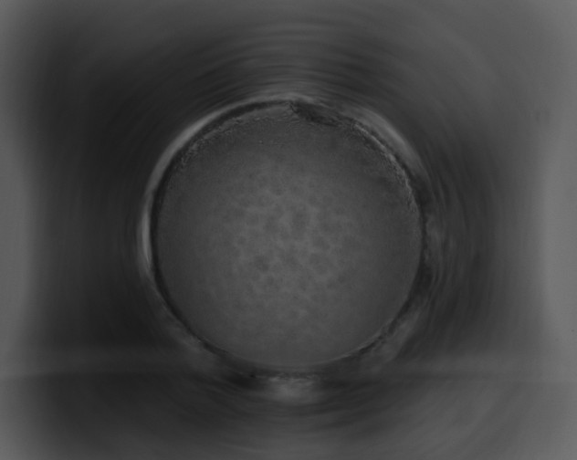 X0000100410788200806061341