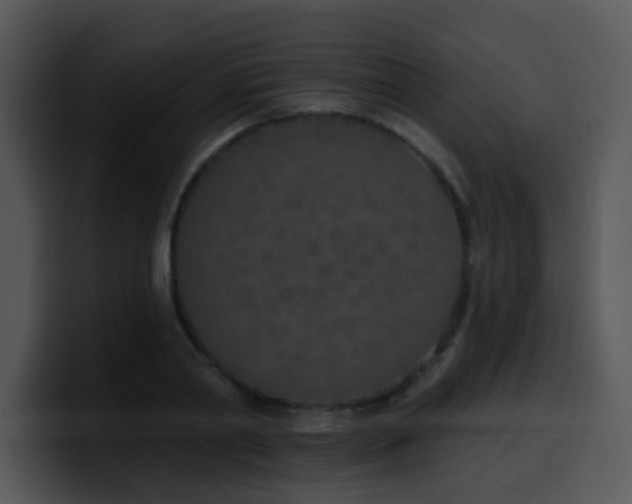 X0000100410790200806061340