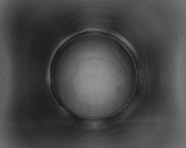 X0000100410791200806061340