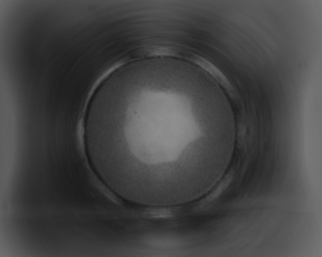 X0000100410798200806061340