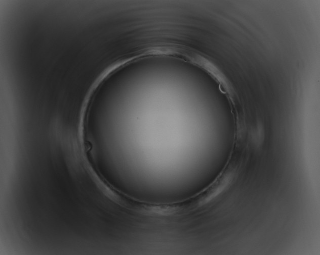 X0000100410803200806061340