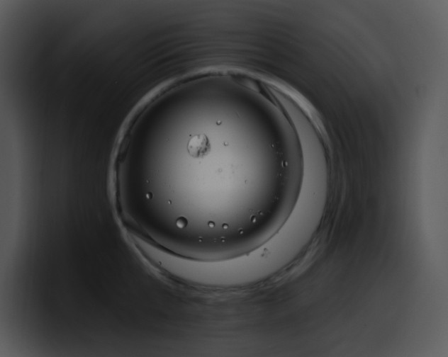 X0000100410807200806061340