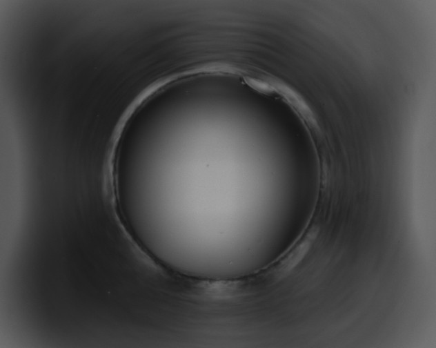 X0000100410808200806061340