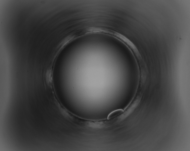 X0000100410809200806061340