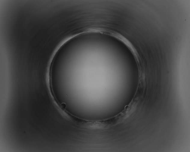 X0000100410811200806061340