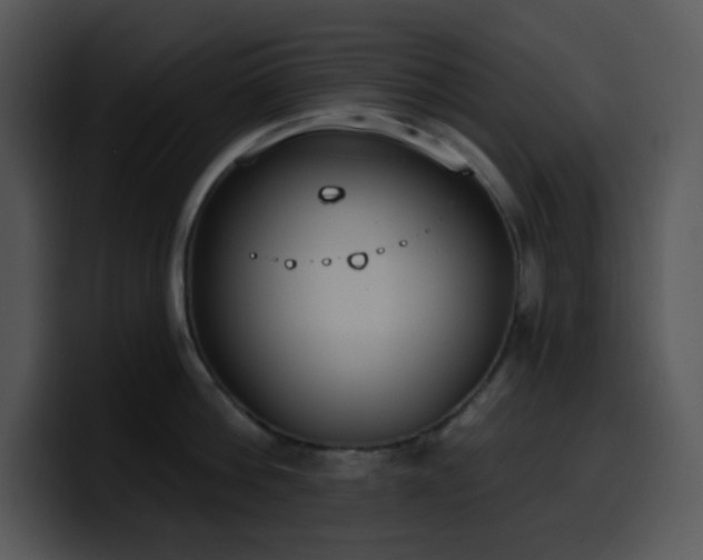 X0000100410812200806061340