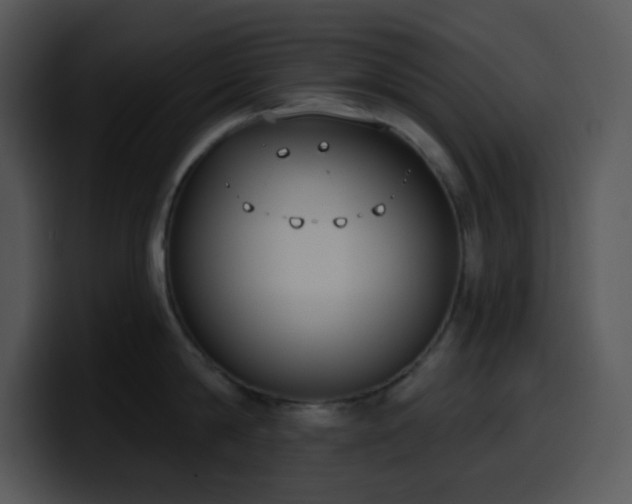 X0000100410814200806061340