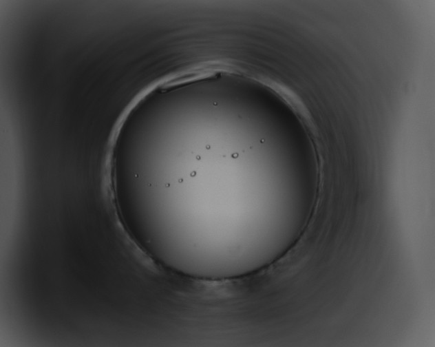 X0000100410816200806061340