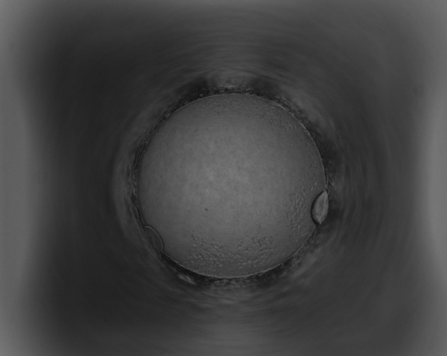 X0000100410817200806061339