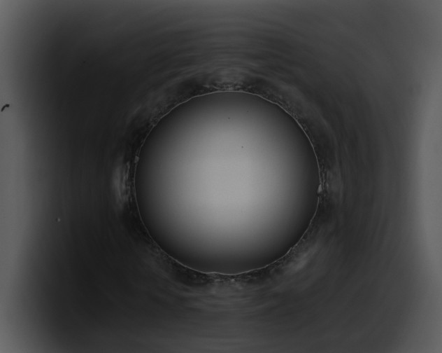 X0000100410818200806061339