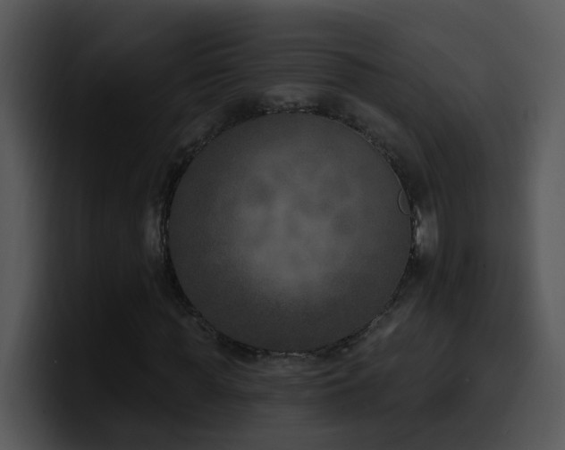 X0000100410819200806061339