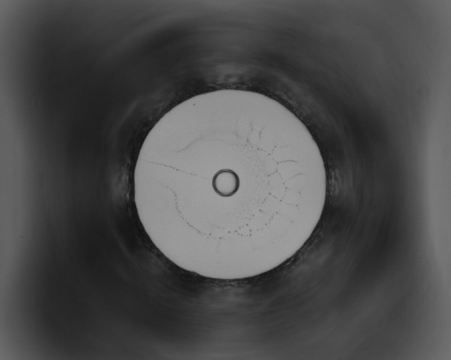 X0000100410820200806061339