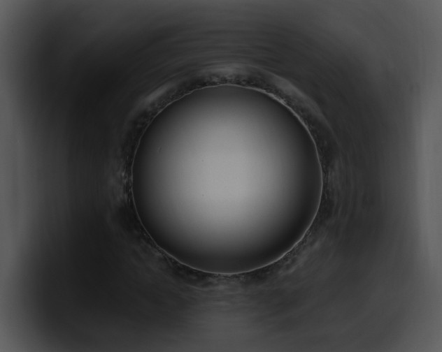 X0000100410822200806061339