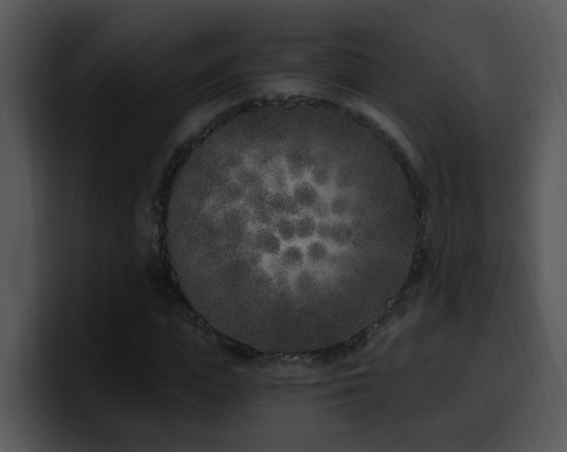 X0000100410823200806061340