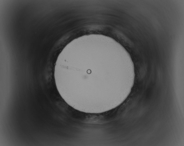 X0000100410824200806061340