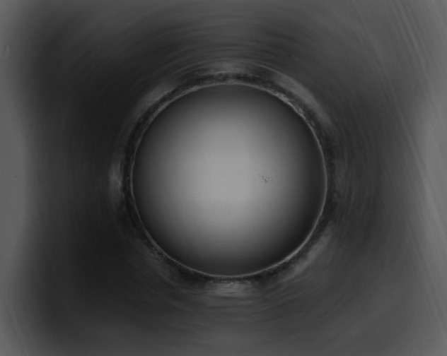 X0000100410826200806061340