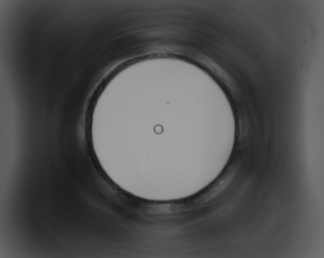 X0000100410828200806061340