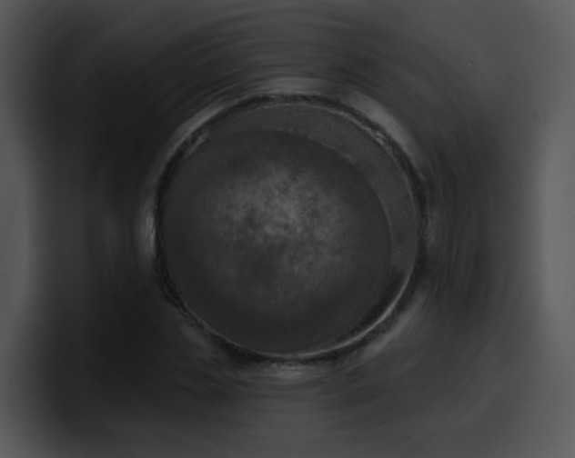 X0000100410829200806061340