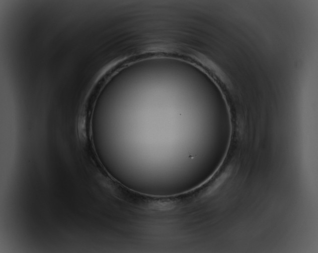 X0000100410830200806061340