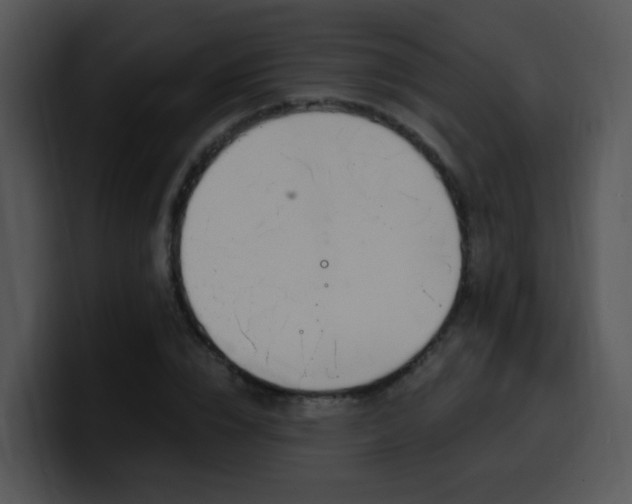 X0000100410832200806061340