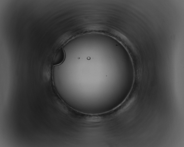 X0000100410833200806061340