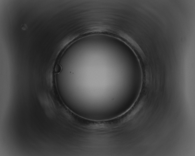 X0000100410834200806061340