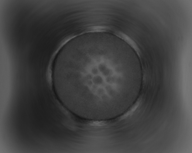 X0000100410835200806061340