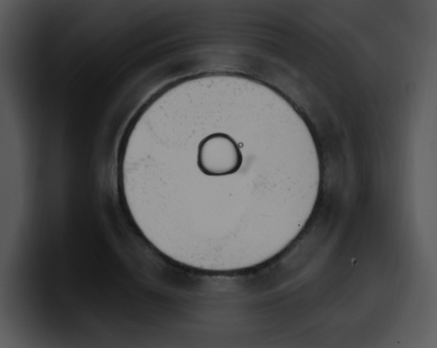 X0000100410836200806061340