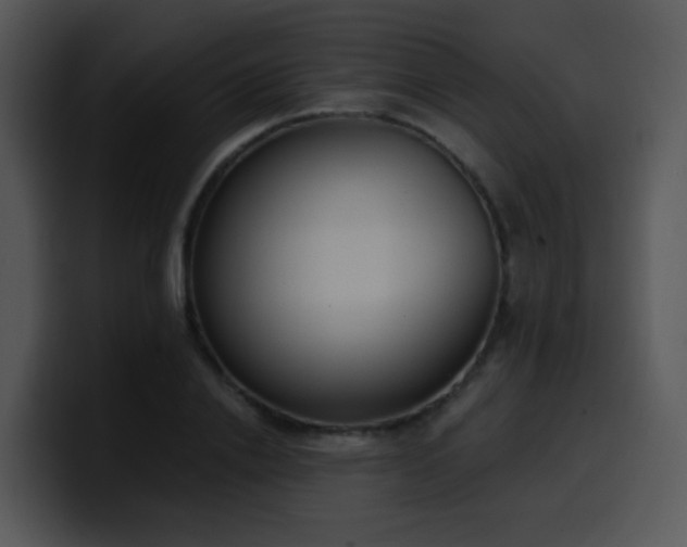 X0000100410838200806061340