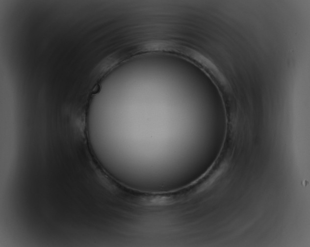 X0000100410841200806061340