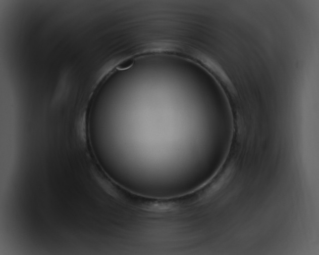 X0000100410842200806061340