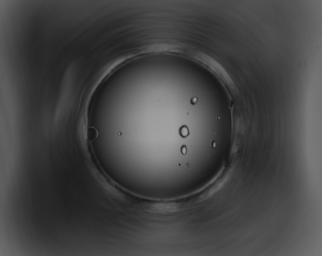 X0000100410844200806061340