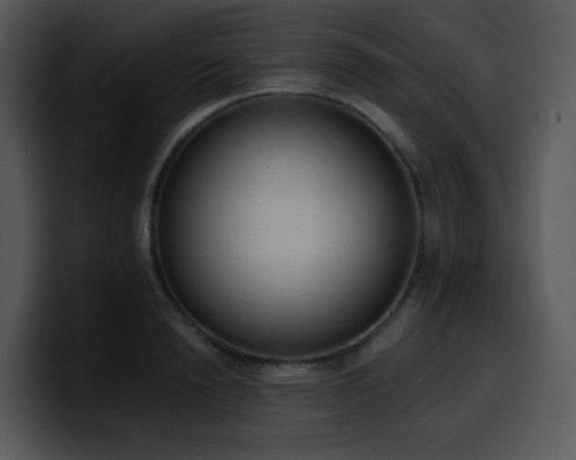 X0000100410846200806061340