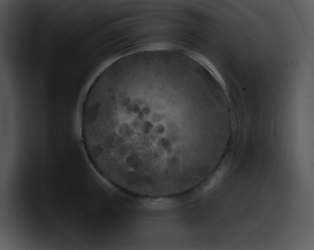 X0000100410851200806061340