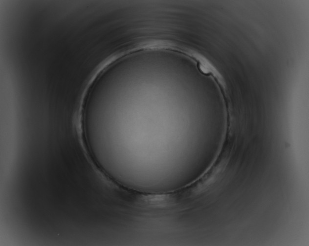 X0000100410853200806061340