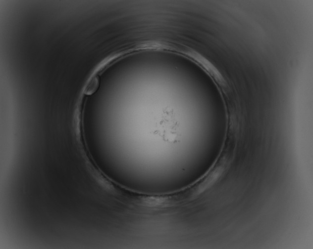 X0000100410854200806061340